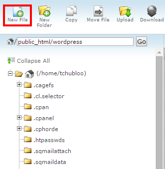 Hướng dẫn bảo vệ WordPress Login khỏi Brute Force Attack