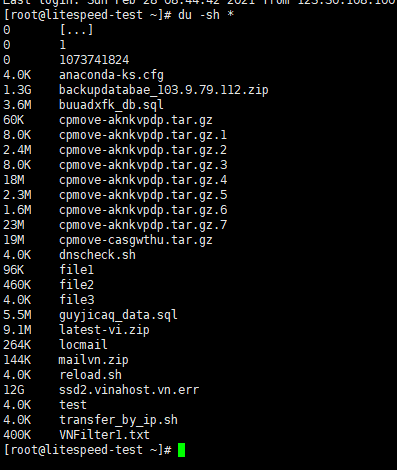 Cách Kiểm Tra Xử Lý Khi Một VPS Linux Bị Đầy Ổ Cứng