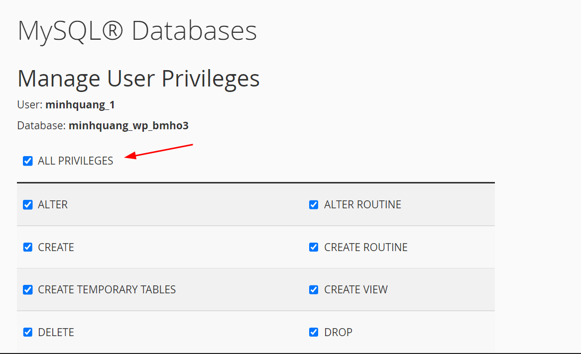 Hướng Dẫn Allow Remote MySQL Databases Bằng cPanel