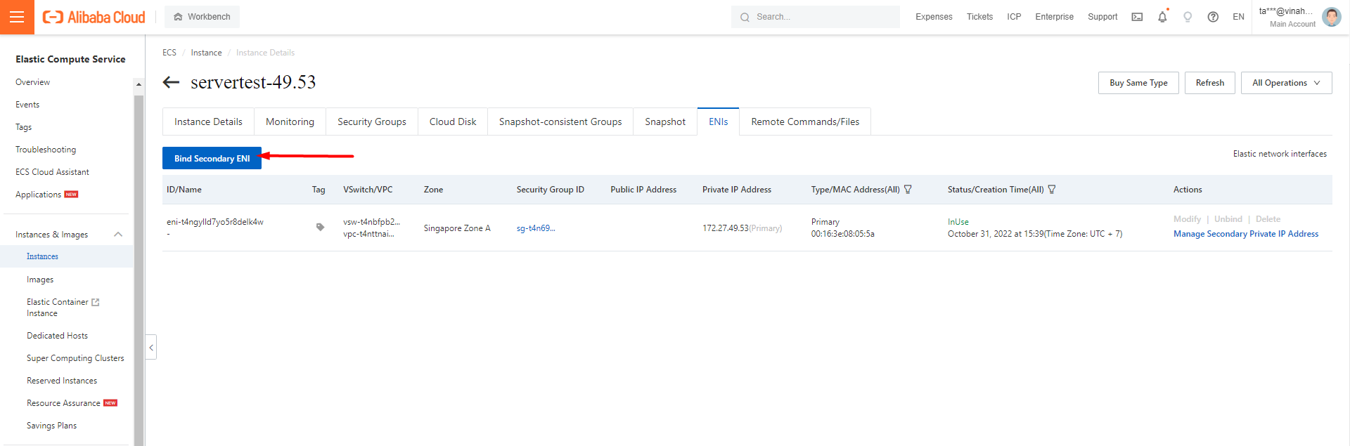 Elastic Network Interfaces